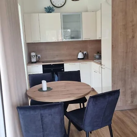 Dwie Mewy 2 Mrzeżyno