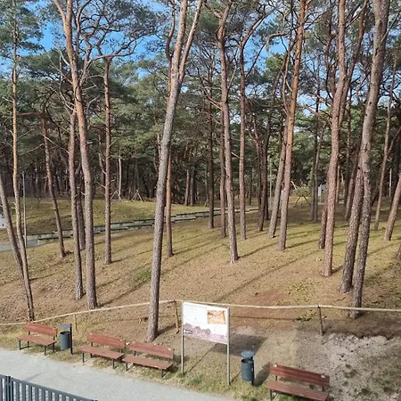 Dwie Mewy 2 Mrzeżyno