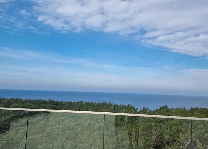 Dwie Mewy 2 Mrzeżyno