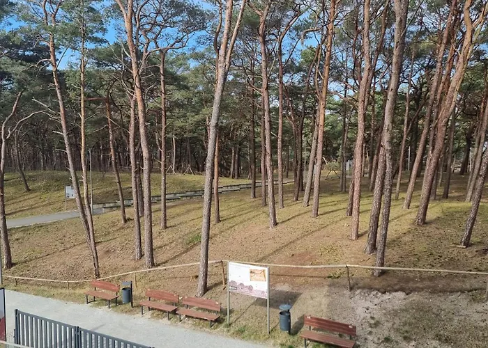 Dwie Mewy 2 Mrzeżyno